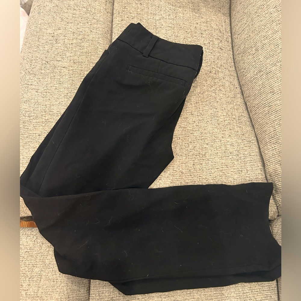 New York and company work pants